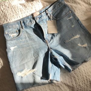 Everlane Long Denim Shorts